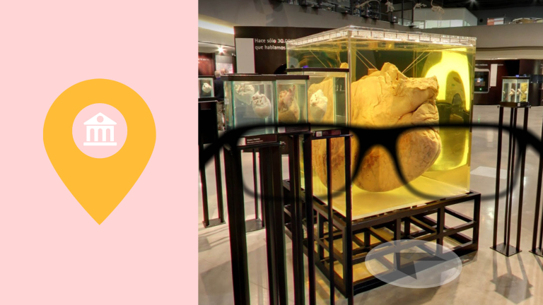 online museum musea zorg 
