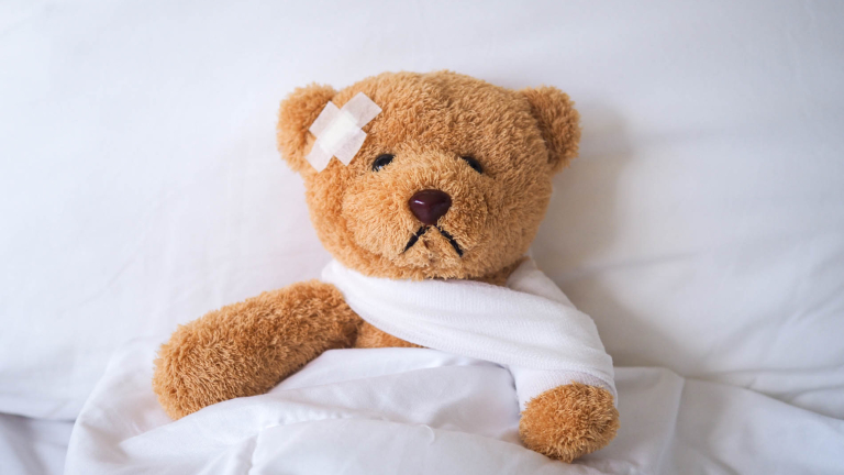 judith-teddybeer