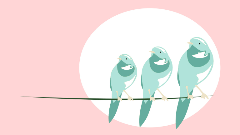Anne - birds fly