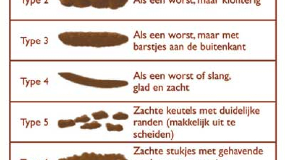 ontlasting-poep-toilet