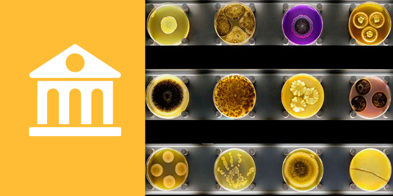 Micropia-museum-microben-review