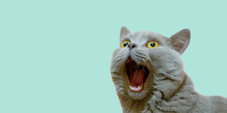 kater-tips