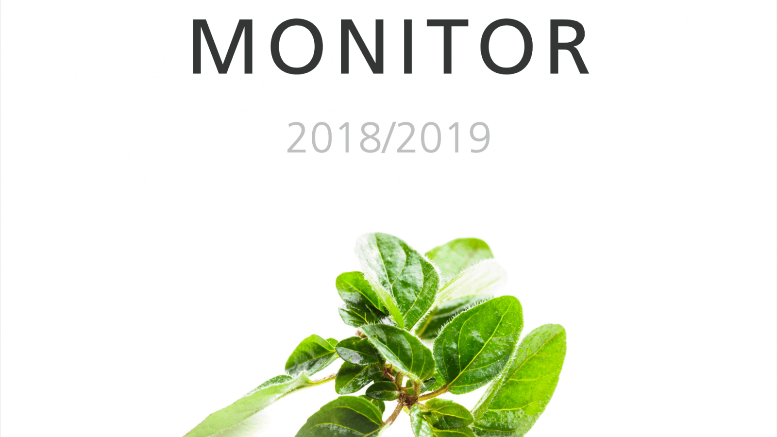FSIN Beleidsmonitor 2018/2019
